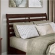 Emelie Queen Wood Platform Bed with Panel Footboard & Storage Drawers in Walnut