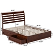 Emelie Queen Wood Platform Bed with Panel Footboard & Storage Drawers in Walnut