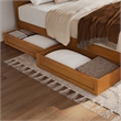 Emelie Queen Wood Platform Bed with Panel Footboard & Drawers in Light Toffee