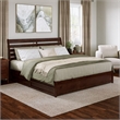 Emelie King Wood Platform Bed with Panel Footboard and Storage Drawers in Walnut