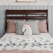 Emelie Twin Wood Platform Bed with Panel Footboard and Twin Trundle in Walnut