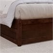 Emelie Full Wood Platform Bed with Panel Footboard and Twin Trundle in Walnut