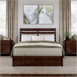 Emelie Queen Wood Platform Bed with Panel Footboard & Twin XL Trundle in Walnut
