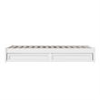 Barcelona Twin XL Solid Wood Panel Platform Bed with Storage Drawers in White