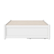 Barcelona Twin XL Solid Wood Panel Platform Bed with Storage Drawers in White