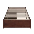 Barcelona Twin XL Solid Wood Panel Platform Bed with Storage Drawers in Walnut