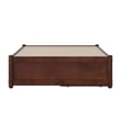 Barcelona Twin XL Solid Wood Panel Platform Bed with Storage Drawers in Walnut