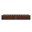Barcelona Twin XL Solid Wood Panel Platform Bed with Storage Drawers in Walnut