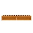Barcelona Twin XL Panel Platform Bed with 2 Storage Drawers in Light Toffee