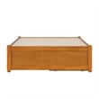 Barcelona Twin XL Panel Platform Bed with 2 Storage Drawers in Light Toffee
