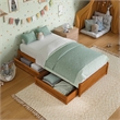 Barcelona Twin Panel Platform Bed with 2 Storage Drawers in Light Toffee