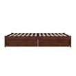 Barcelona Full Panel Platform Bed with 2 Storage Drawers in Walnut