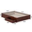 Barcelona Full Panel Platform Bed with 2 Storage Drawers in Walnut