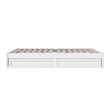 Barcelona Queen Panel Platform Bed with 2 Storage Drawers in White