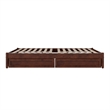 Barcelona Queen Panel Platform Bed with 2 Storage Drawers in Walnut