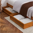 Barcelona Queen Panel Platform Bed with 2 Storage Drawers in Light Toffee