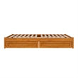 Barcelona Queen Panel Platform Bed with 2 Storage Drawers in Light Toffee