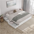 Barcelona King Panel Platform Bed with 2 Storage Drawers in White