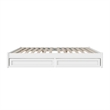 Barcelona King Panel Platform Bed with 2 Storage Drawers in White