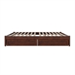 Barcelona King Panel Platform Bed with 2 Storage Drawers in Walnut