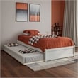 Barcelona Twin XL Solid Wood Panel Platform Bed with Twin XL Trundle in White