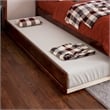 Barcelona Twin XL Solid Wood Panel Platform Bed with Twin XL Trundle in Walnut