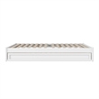 Barcelona Queen Solid Wood Panel Platform Bed with Twin XL Trundle in White