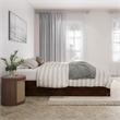 Barcelona Queen Solid Wood Panel Platform Bed with Twin XL Trundle in Walnut