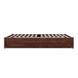 Barcelona Queen Solid Wood Panel Platform Bed with Twin XL Trundle in Walnut