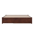 Barcelona Queen Solid Wood Panel Platform Bed with Twin XL Trundle in Walnut