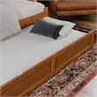 AFI Cambridge Mid-Century Solid Wood Daybed with Twin Trundle in Light Toffee
