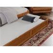 AFI Cambridge Mid-Century Solid Wood Daybed with Twin Trundle in Light Toffee