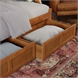 AFI Cambridge Mid-Century Wood Twin Daybed with Set of 2 Drawers in Light Toffee