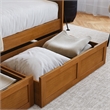 AFI Acadia Mid-Century Wood Twin Daybed with Set of 2 Drawers in Light Toffee