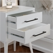 Pasadena Solid Wood 2 Drawer Nightstand in White