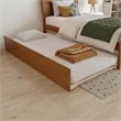 Portland Twin Wood Bed with Matching Footboard & Trundle in Light Toffee