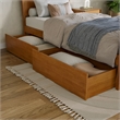 Portland Twin XL Storage Wood Bed with Matching Footboard in Light Toffee
