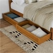 Clayton King Wood Platform Bed with Panel Footboard & Drawers in Light Toffee