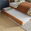 Clayton Twin Wood Platform Bed with Panel Footboard & Trundle in Light Toffee