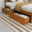 Canyon Twin Storage Wood Platform Bed with Matching Footboard in Light Toffee