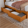 Canyon Queen Storage Wood Platform Bed with Matching Footboard in Light Toffee