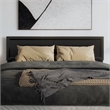 Sophia Queen Solid Wood Headboard in Black