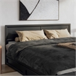 Sophia King Solid Wood Headboard in Black