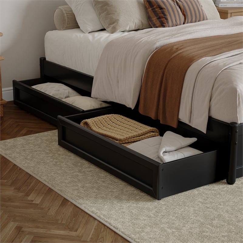 Barcelona Queen Panel Platform Bed with 2 Storage Drawers in Black