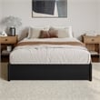 Barcelona Queen Panel Platform Bed with 2 Storage Drawers in Black