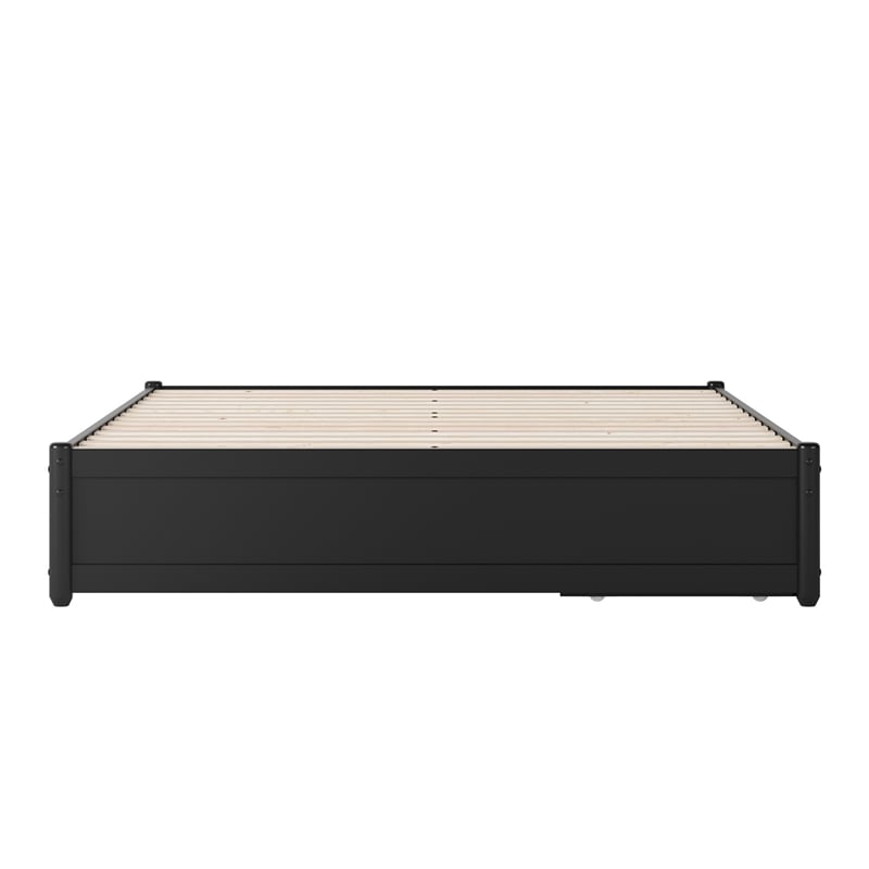 Barcelona Queen Panel Platform Bed with 2 Storage Drawers in Black