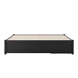 Barcelona Queen Panel Platform Bed with 2 Storage Drawers in Black