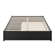 Barcelona Queen Panel Platform Bed with 2 Storage Drawers in Black