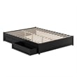 Barcelona Queen Panel Platform Bed with 2 Storage Drawers in Black