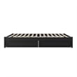 Barcelona Queen Panel Platform Bed with 2 Storage Drawers in Black
